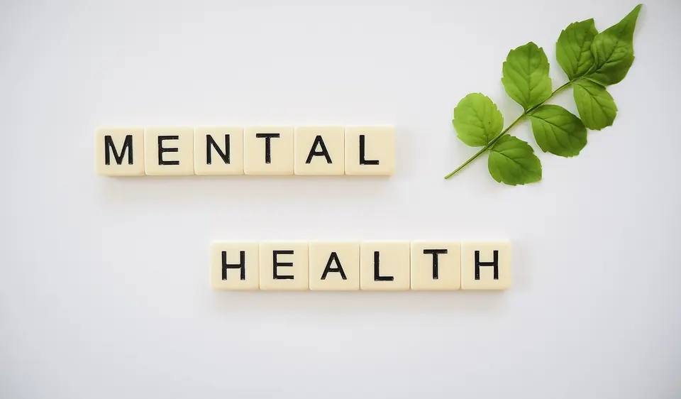 Letter tiles spelling “mental health” beside a green leaf